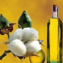 Tanker Transportation for Cottonseed Oil