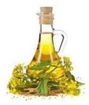 Tanker Transportation for Mustard Oil