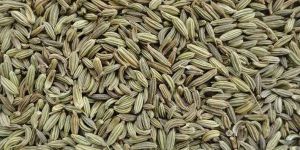 Fennel Seeds