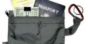 Passport Bags