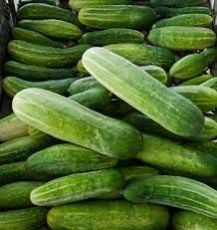 Fresh Cucumbers