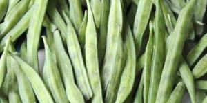 Fresh Guar Gum Beans