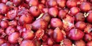 Fresh Red Onions