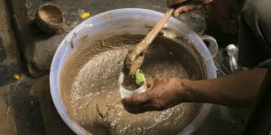 Panchagavya Fertilizer