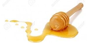 Honey Processing Plant