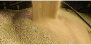 Soybean Meal Extraction