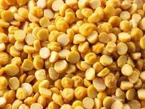 Indian Pulses