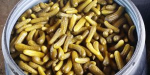 Gherkins Pickles