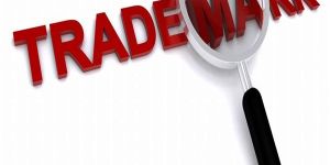 Trademark Registration Services