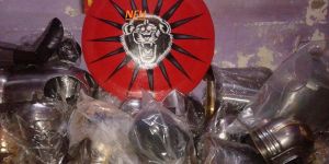 Lion Face Painted Shield