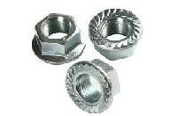 Stainless Steel Flange Nuts
