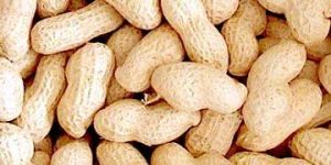 Shelled Groundnuts