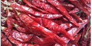 Guntur Red Chilli