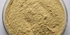 Cassia Tora Powder