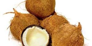 Fully Husked Coconut