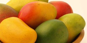 Fresh Mango
