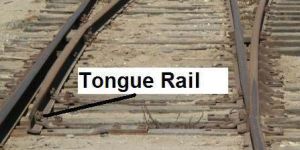Railway Tongue