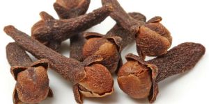Clove Pods