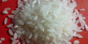 Sona Masuri Rice