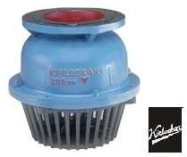 Foot Valve