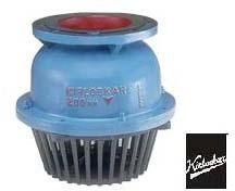 Kirloskar Foot Valve