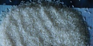 Non Basmati Single Boiled Ponni Rice