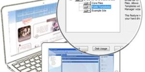 Cms Development Services