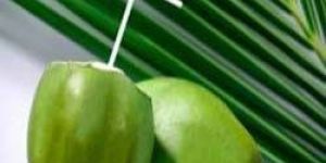 Fresh Tender Coconut