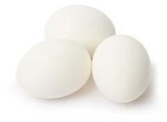 White Poultry Eggs