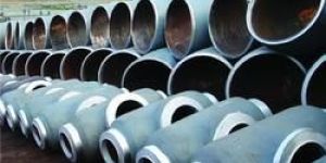 Alloy Steel Fittings