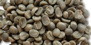 Arabica AB Coffee Bean