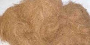 Coir Fibre