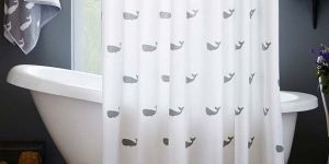 Shower Curtains