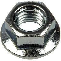 Hex Flange Nut