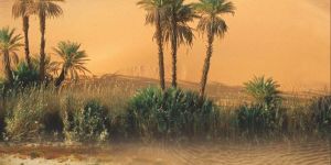 Springs in the Desert