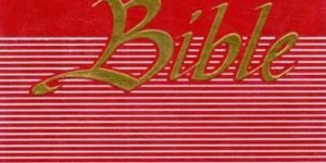 the New Community Bible (Red)