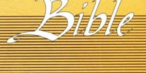 the New Community Bible (Yellow)