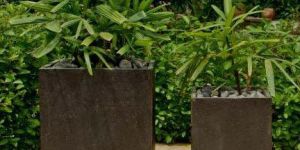 Stone Planters