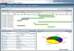 Primavera Project Portfolio Management Software