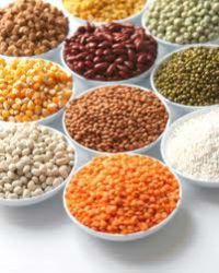 Indian Pulses