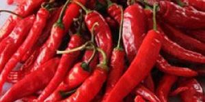 Kashmiri Red Chilli