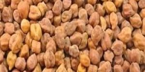 Bengal Gram (Chana)