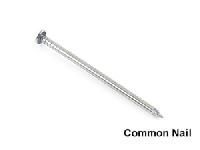 Common Nails