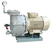 Mono-Block Vacuum Pump