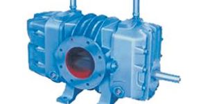 Twin Lobe Blowers