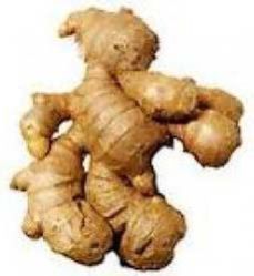 Fresh Ginger
