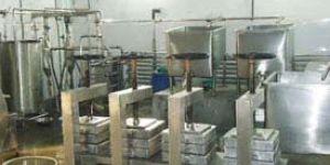Paneer Making Machine