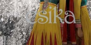 Multi Colored Anarkali Suit