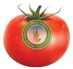 Fresh Tomato