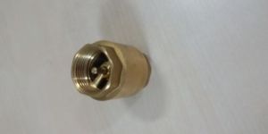 Vertical Check Valve